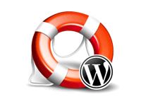 Unlimited WordPress Support