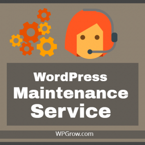 WooCommerce Product Image_ WordPress Maintenance Service